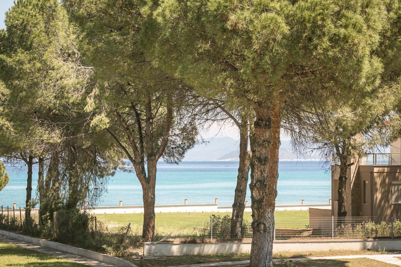 #Flh - Amalthia & Αthena Beachfront Houses In Pefkohori Pefkochori Exterior foto